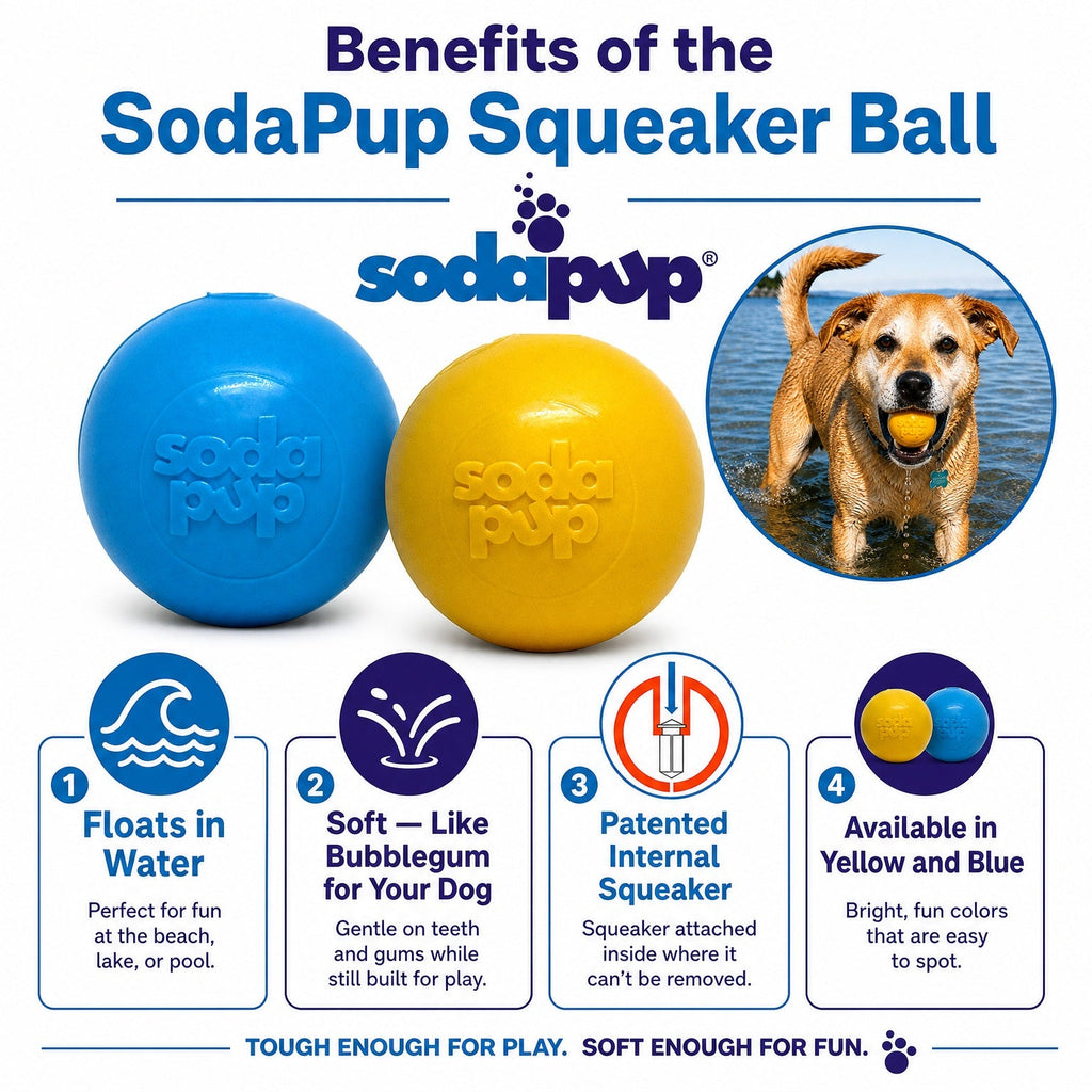 SodaPup PUP-X Squeak Ball Rubber Dog Toy