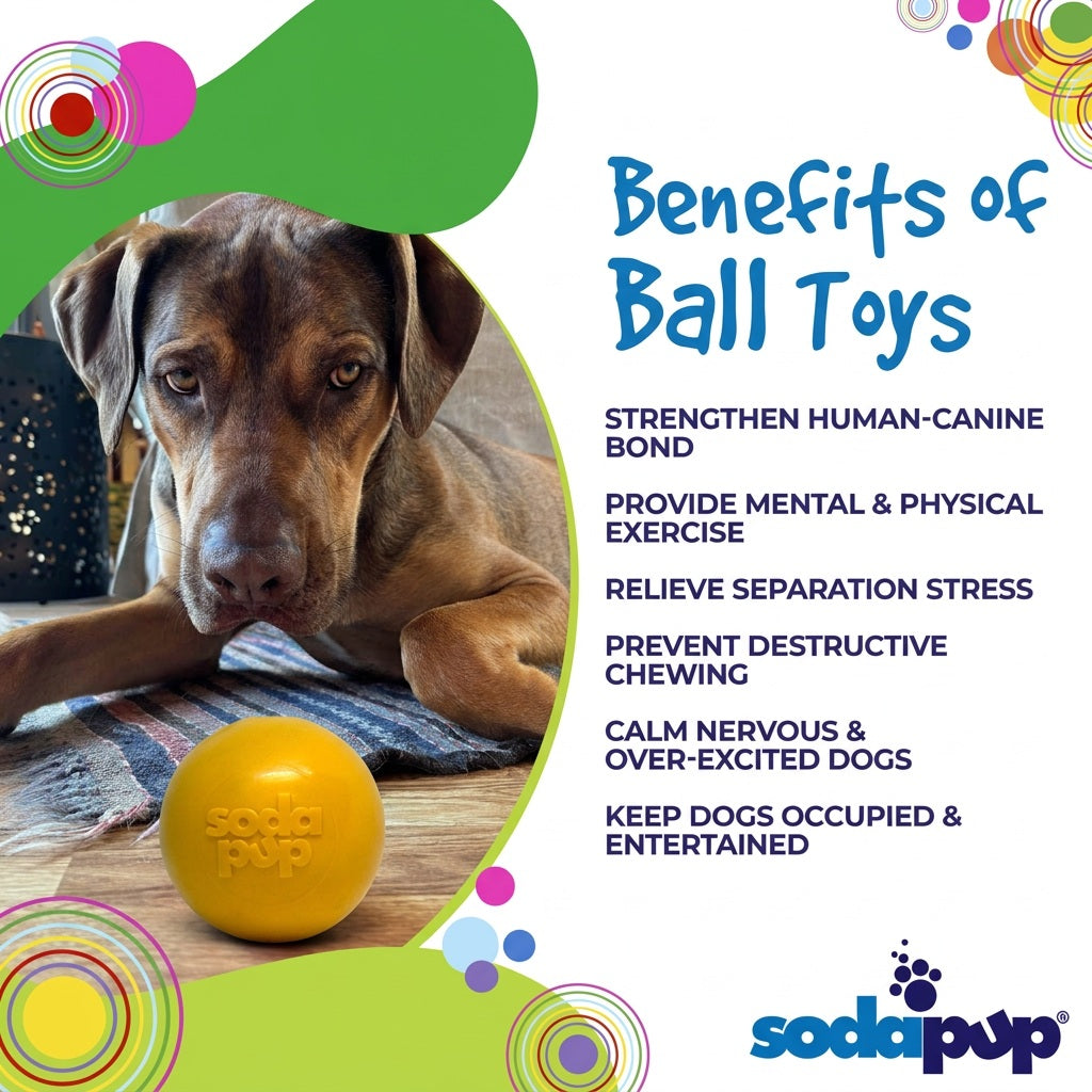 SodaPup PUP-X Squeak Ball Rubber Dog Toy
