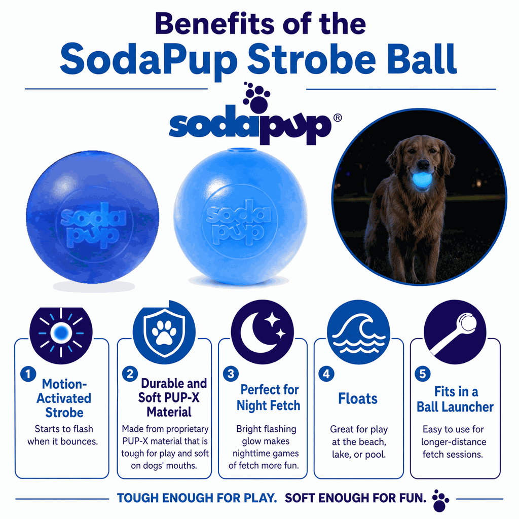 SodaPup Strobe Ball Light-Up Rubber Dog Ball