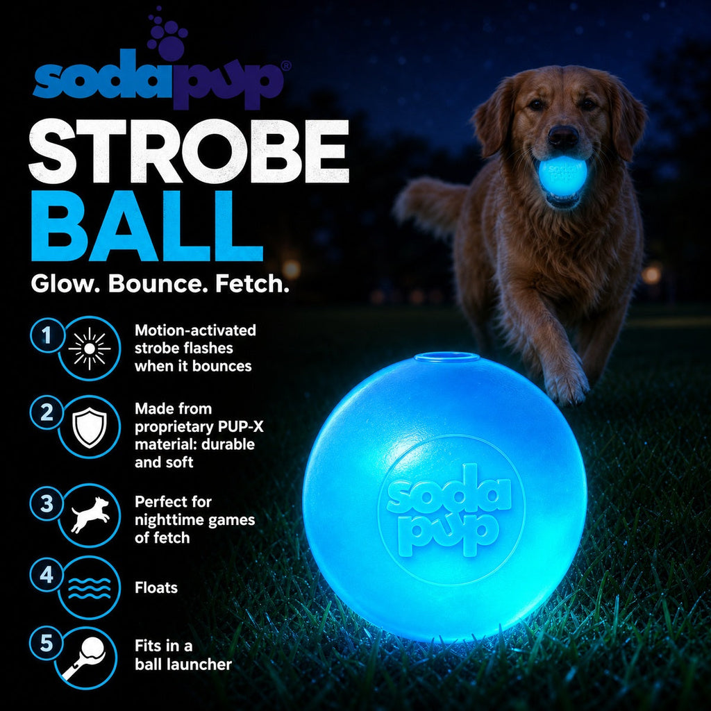 SodaPup Strobe Ball Light-Up Rubber Dog Ball