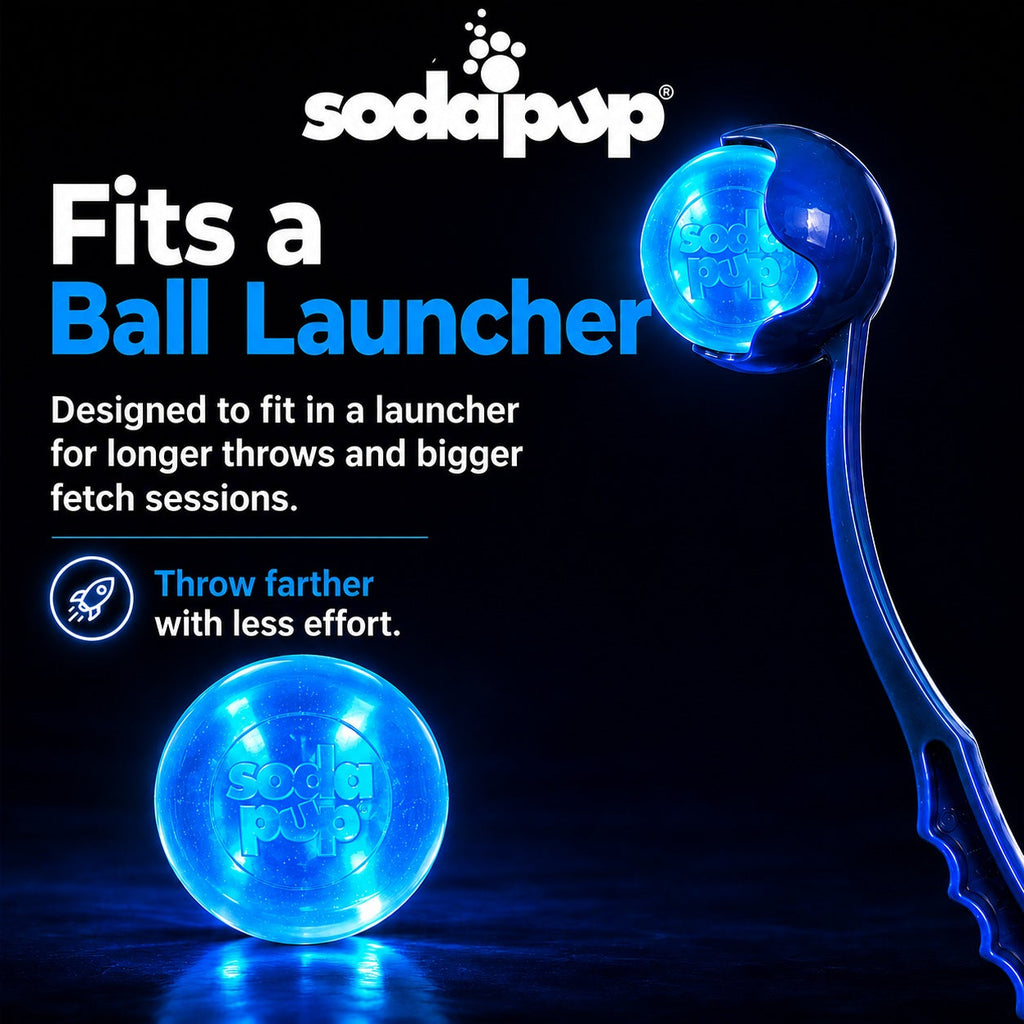 SodaPup Strobe Ball Light-Up Rubber Dog Ball