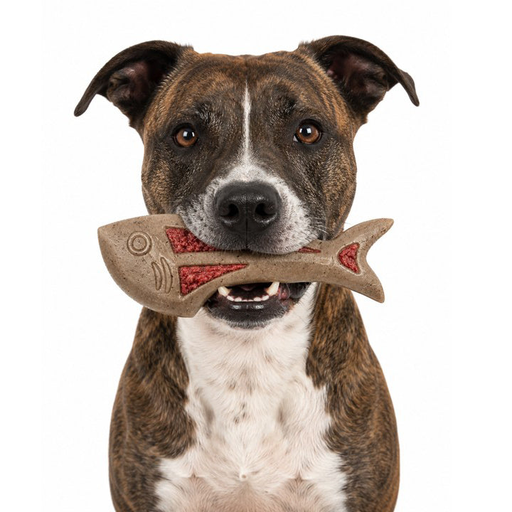 SodaPup Dog Fish eChew Nylon Chew and Lick Toy