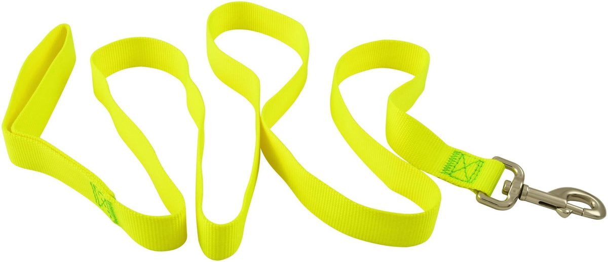 Jeffers 1-Ply Nylon Web Dog Leash
