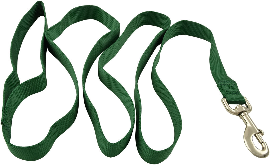 Jeffers 1-Ply Nylon Web Dog Leash