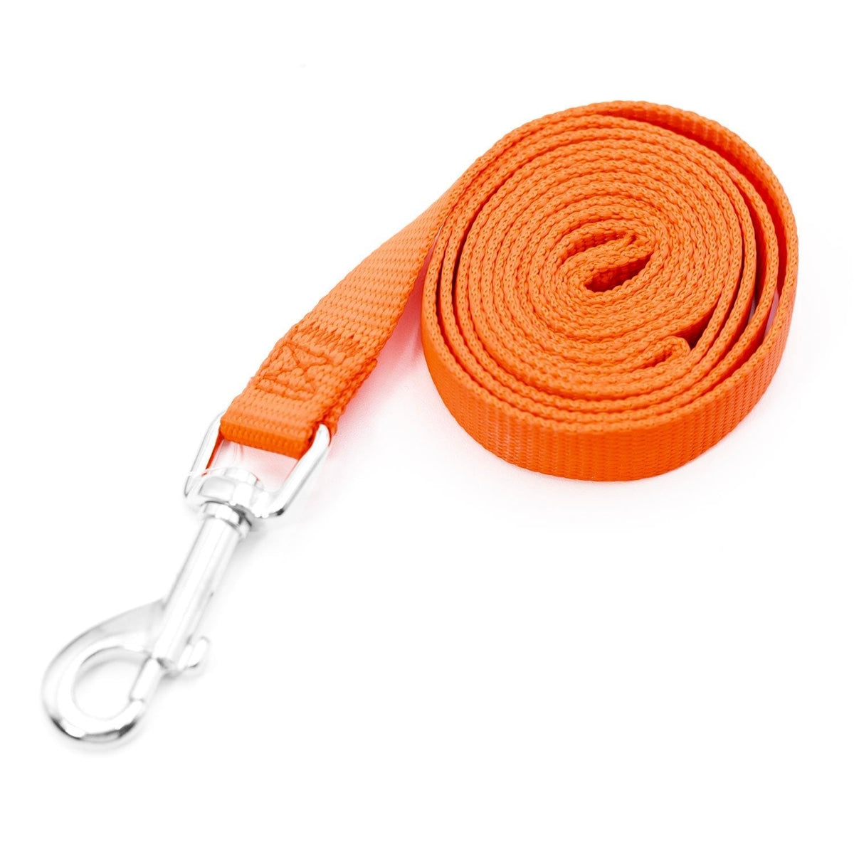 Jeffers 1-Ply Nylon Web Dog Leash - FurrowpetstoreWalk & WasteJeffers