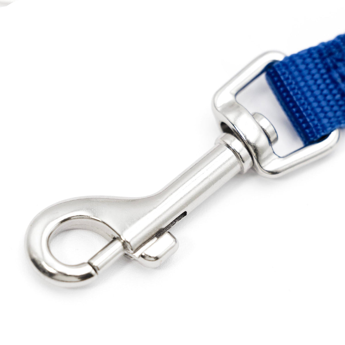 Jeffers 1-Ply Nylon Web Dog Leash