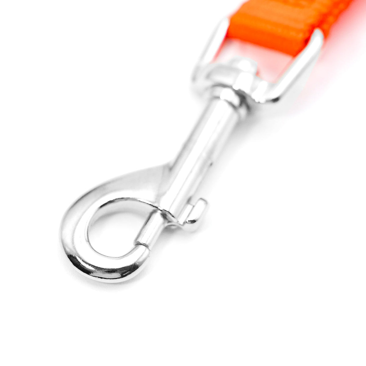 Jeffers 1-Ply Nylon Web Dog Leash