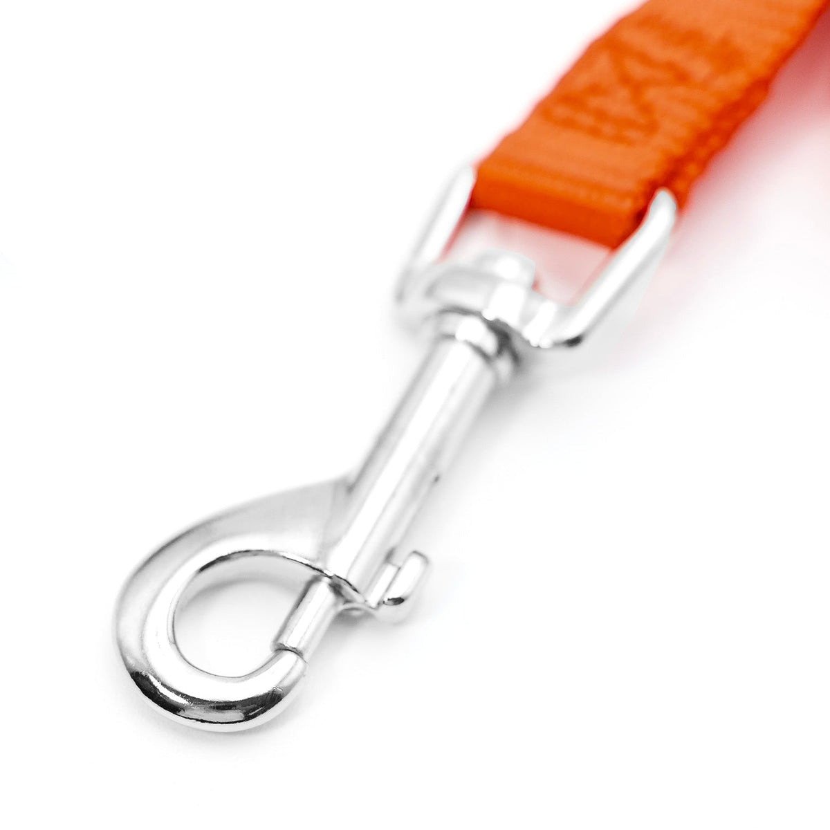 Jeffers 1-Ply Nylon Web Dog Leash