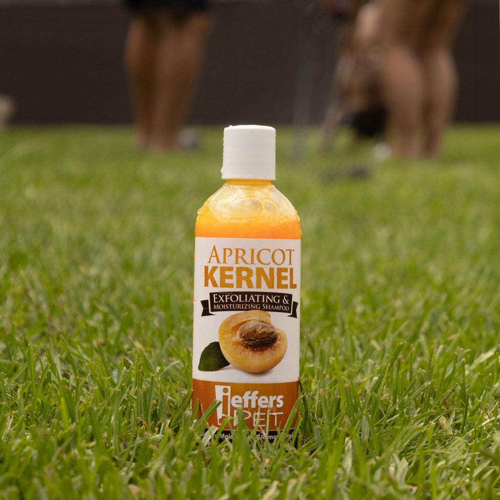 Jeffers Apricot Kernel Exfoliating Pet Shampoo - FurrowpetstoreGrooming & CleanupJeffers