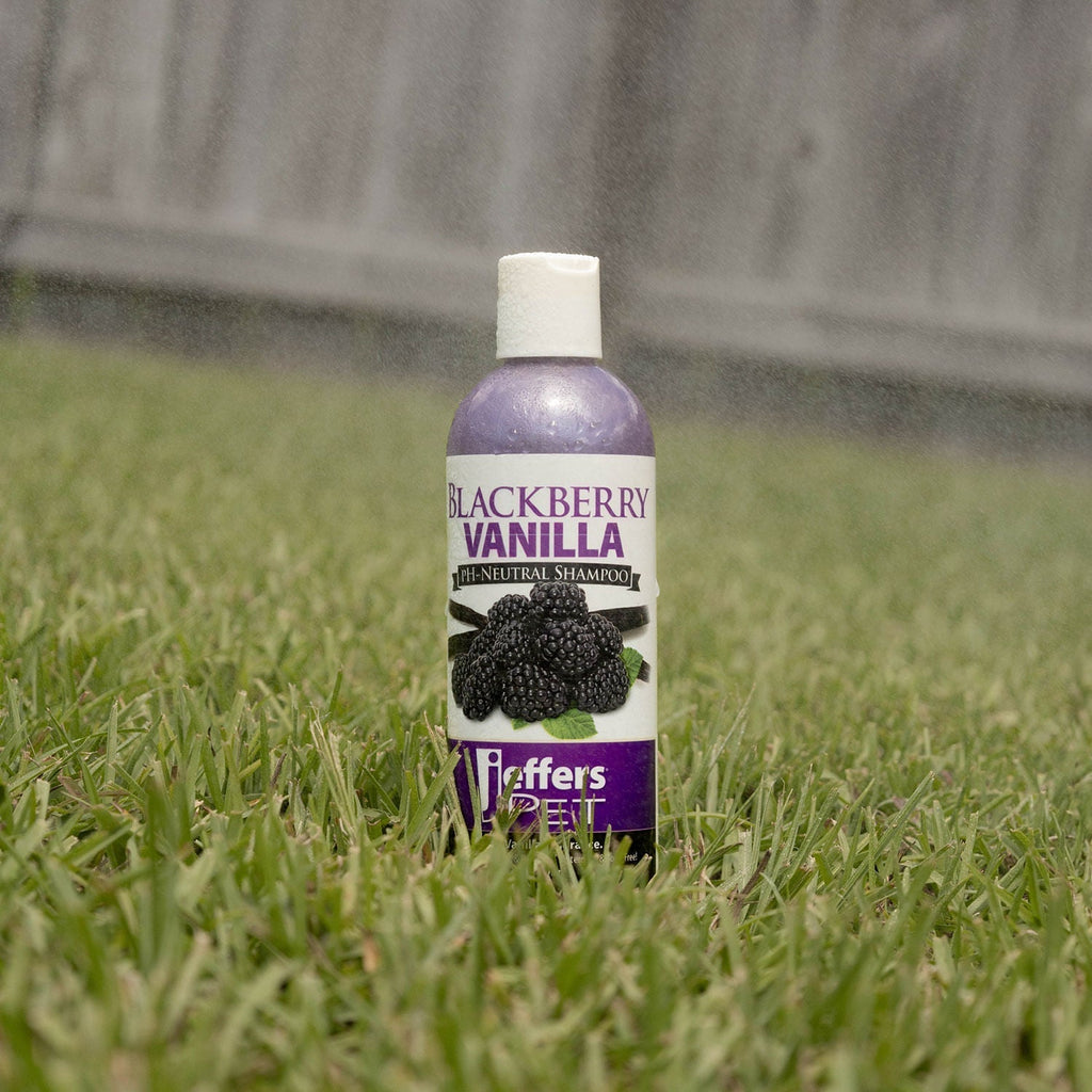Jeffers Blackberry Vanilla pH-Neutral Pet Shampoo - FurrowpetstoreGrooming & CleanupJeffers