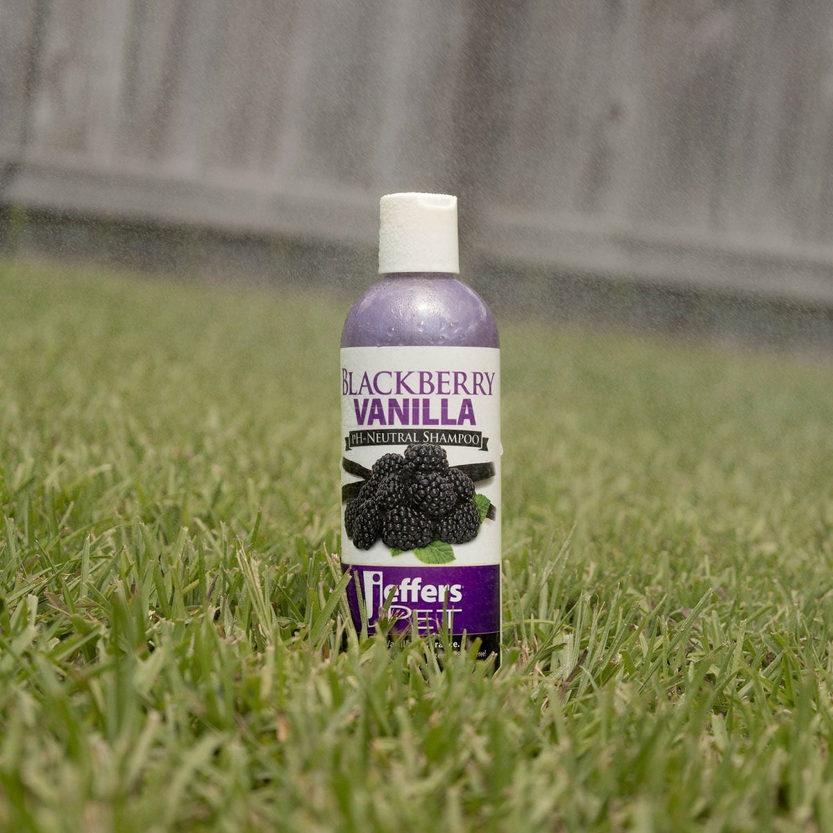 Jeffers Blackberry Vanilla pH-Neutral Pet Shampoo - FurrowpetstoreGrooming & CleanupJeffers