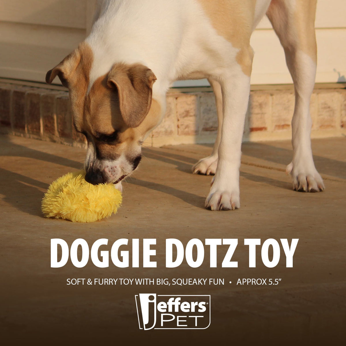 Jeffers Doggie Dotz Plush Squeaker Dog Toy, 5 in - FurrowpetstoreToysJeffers