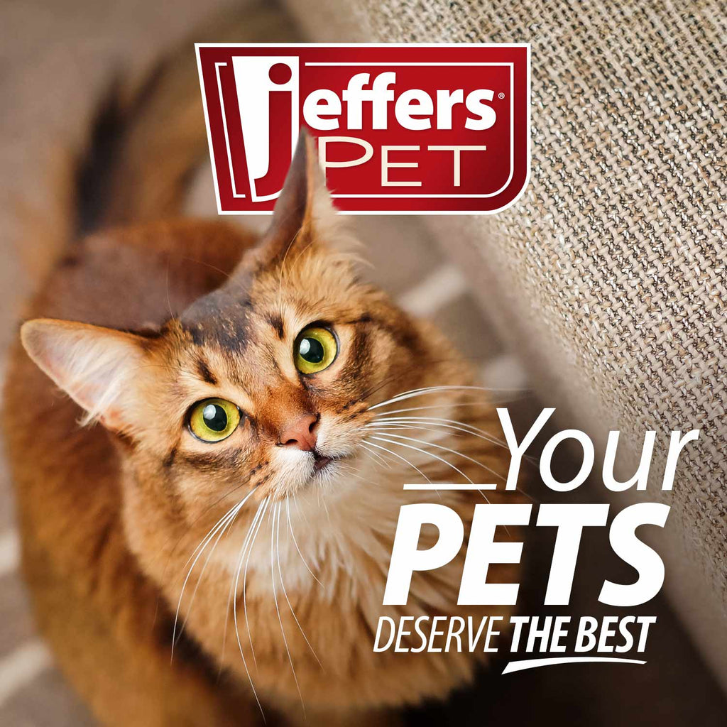 Jeffers Double-Sided Flex Head Slicker Brush - FurrowpetstoreGrooming & CleanupJeffers
