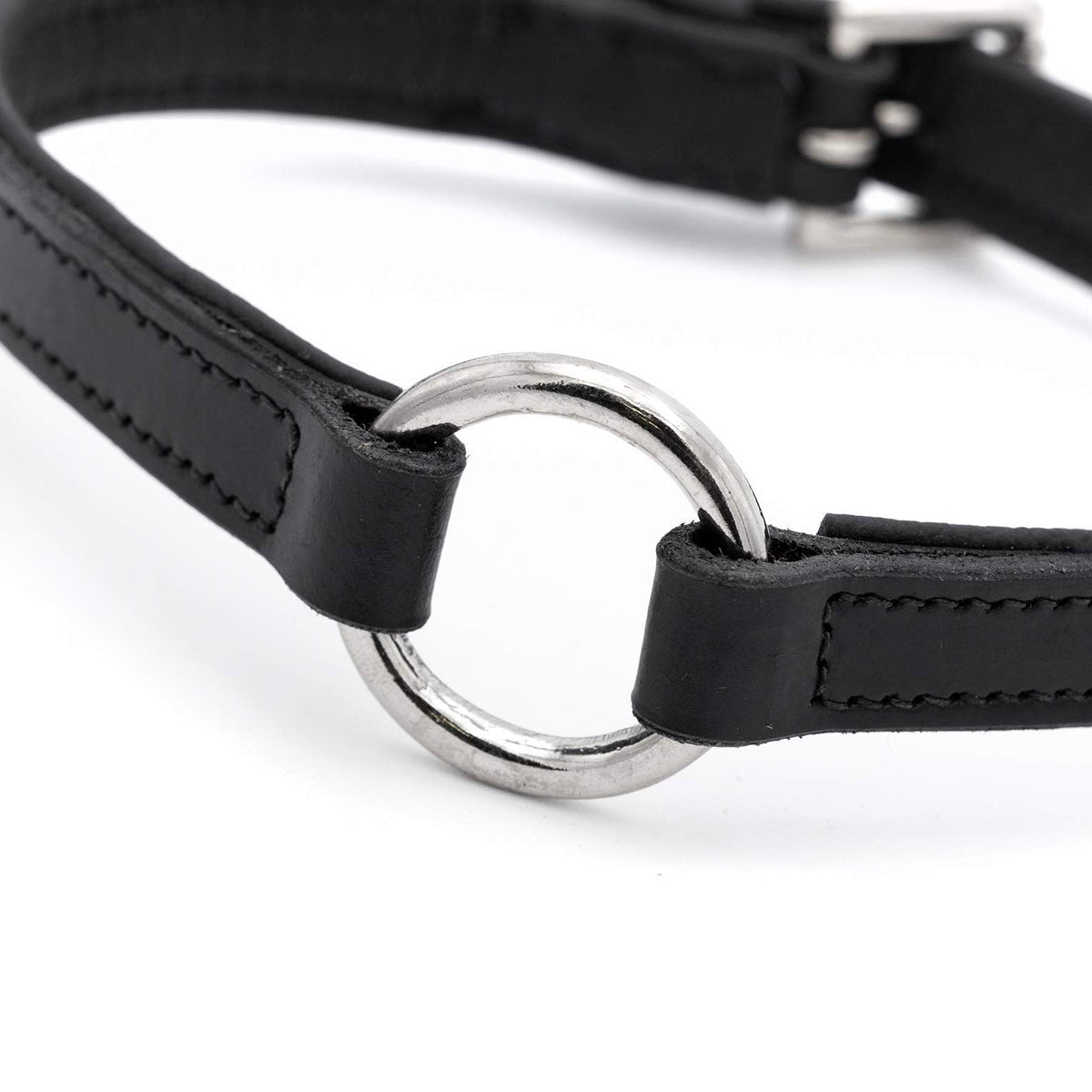 Jeffers Padded Black Leather Dog Collar with O-Ring - FurrowpetstoreWalk & WasteJeffers