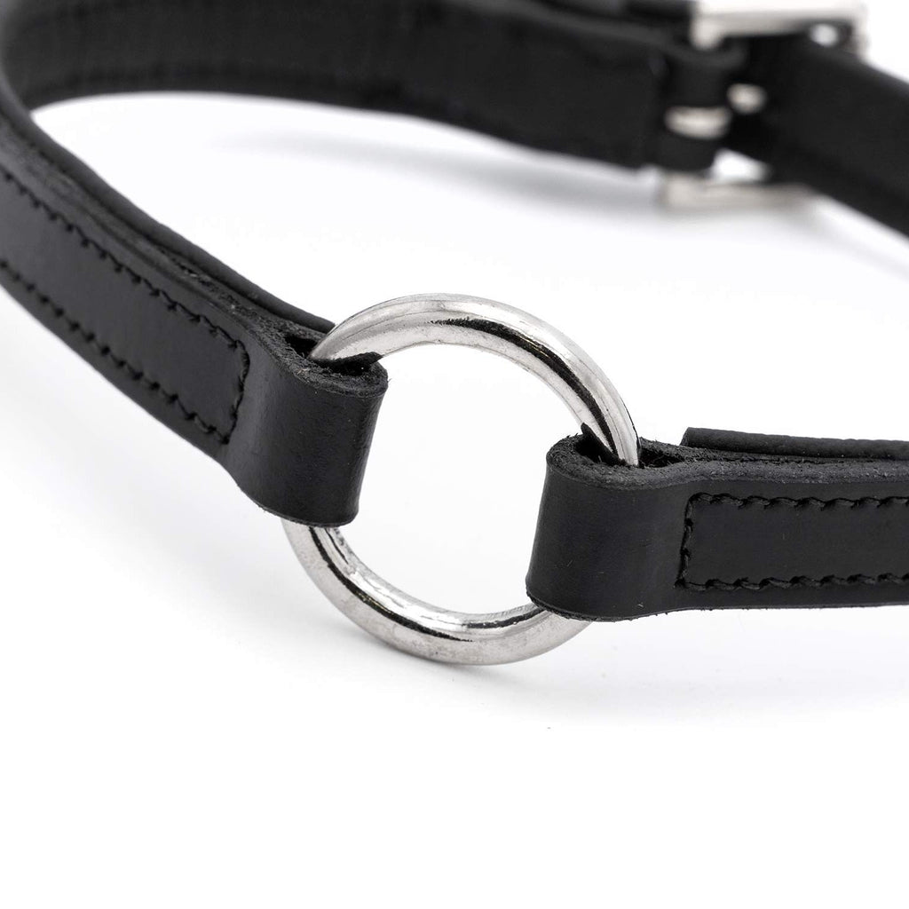 Jeffers Padded Black Leather Dog Collar with O-Ring