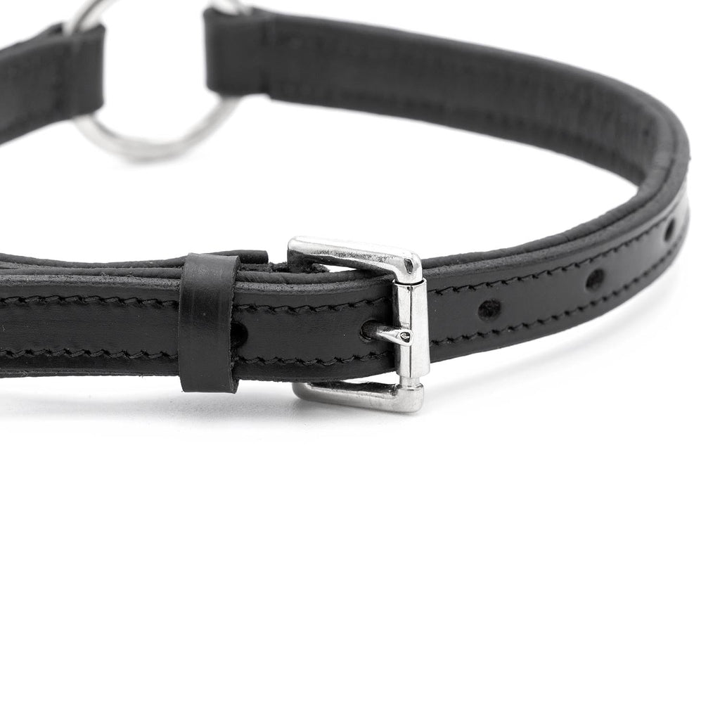 Jeffers Padded Black Leather Dog Collar with O-Ring