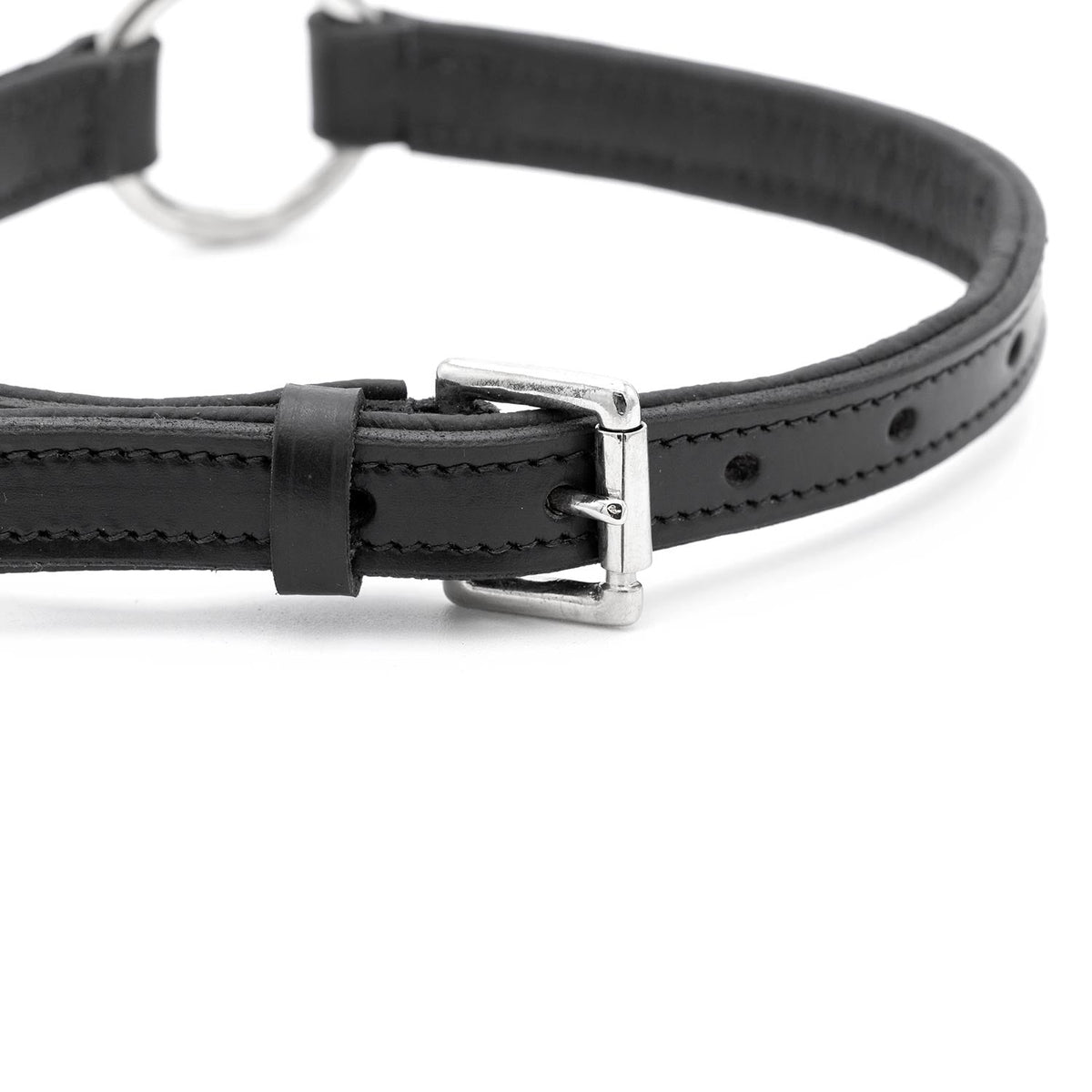 Jeffers Padded Black Leather Dog Collar with O-Ring