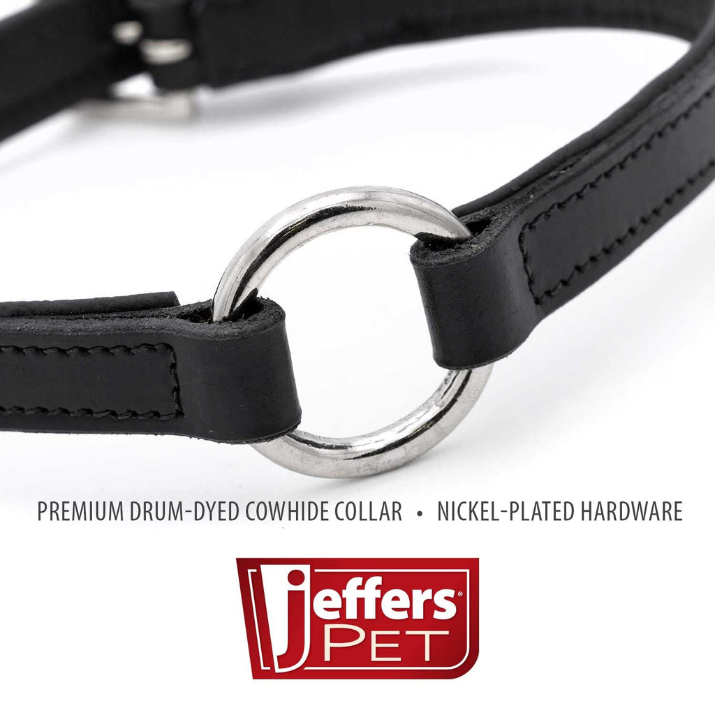 Jeffers Padded Black Leather Dog Collar with O-Ring