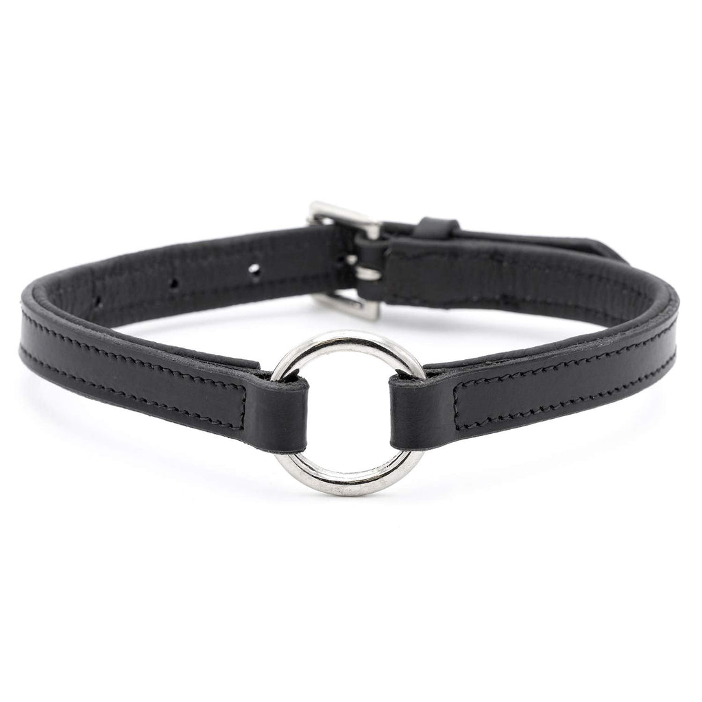 Padded black leather dog collar with nickel hardware