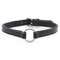Padded black leather dog collar with nickel hardware
