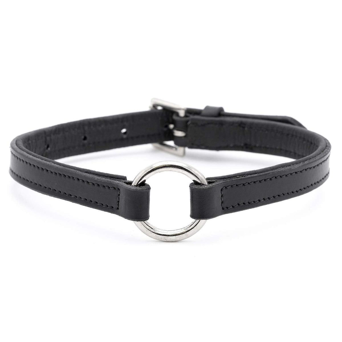 Padded black leather dog collar with nickel hardware