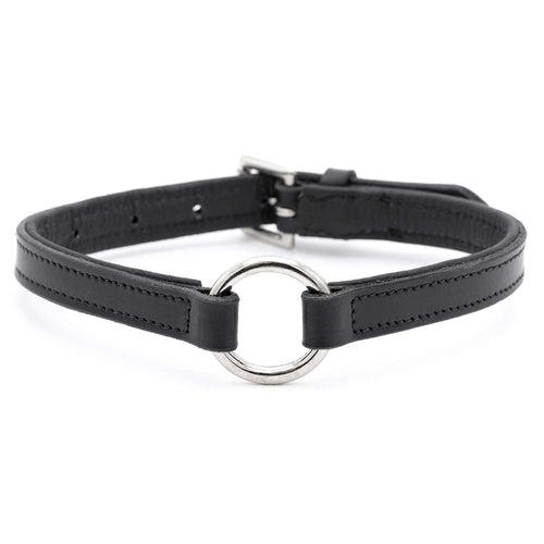 Padded black leather dog collar with nickel hardware