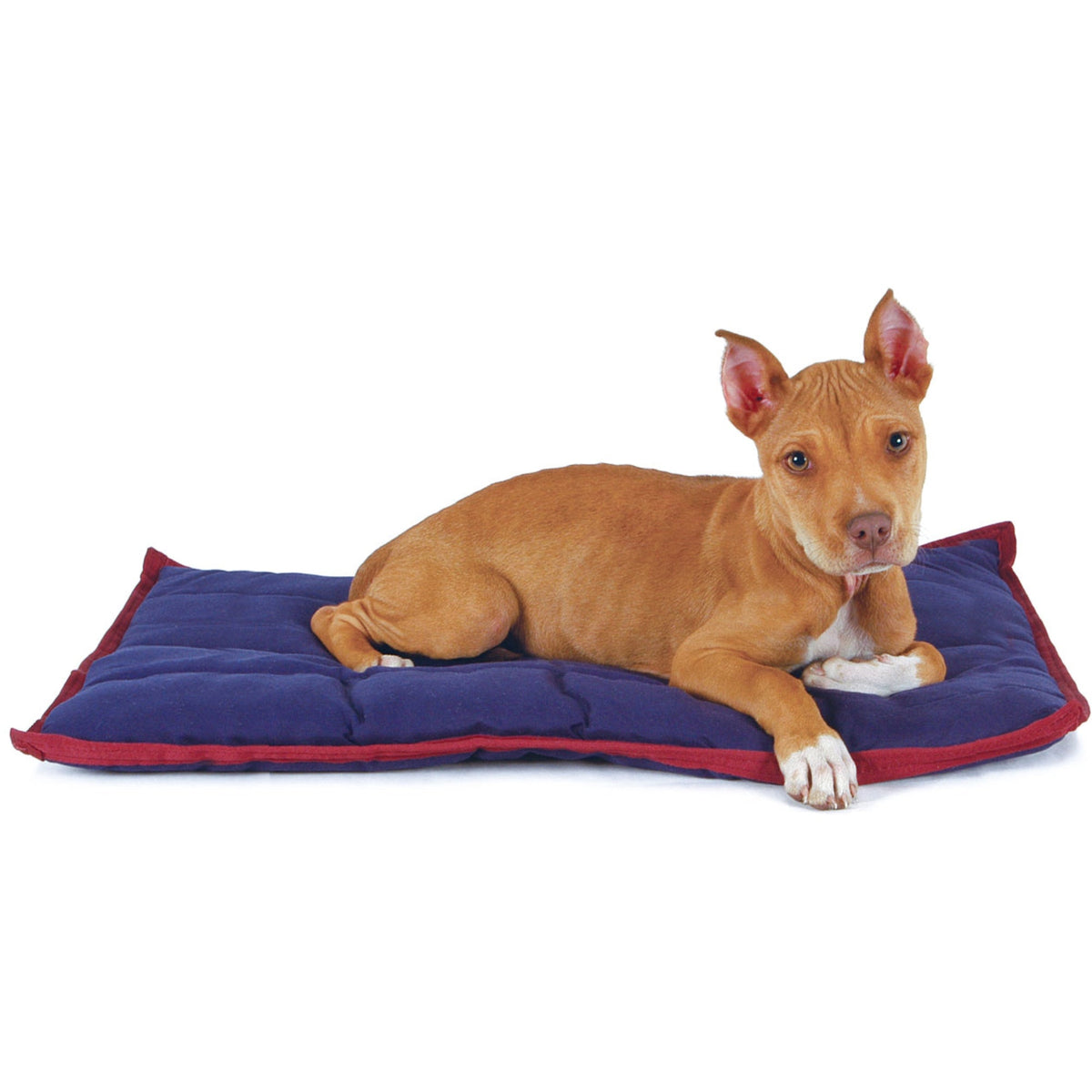 Jeffers washable comfort dog pillow with wine trim