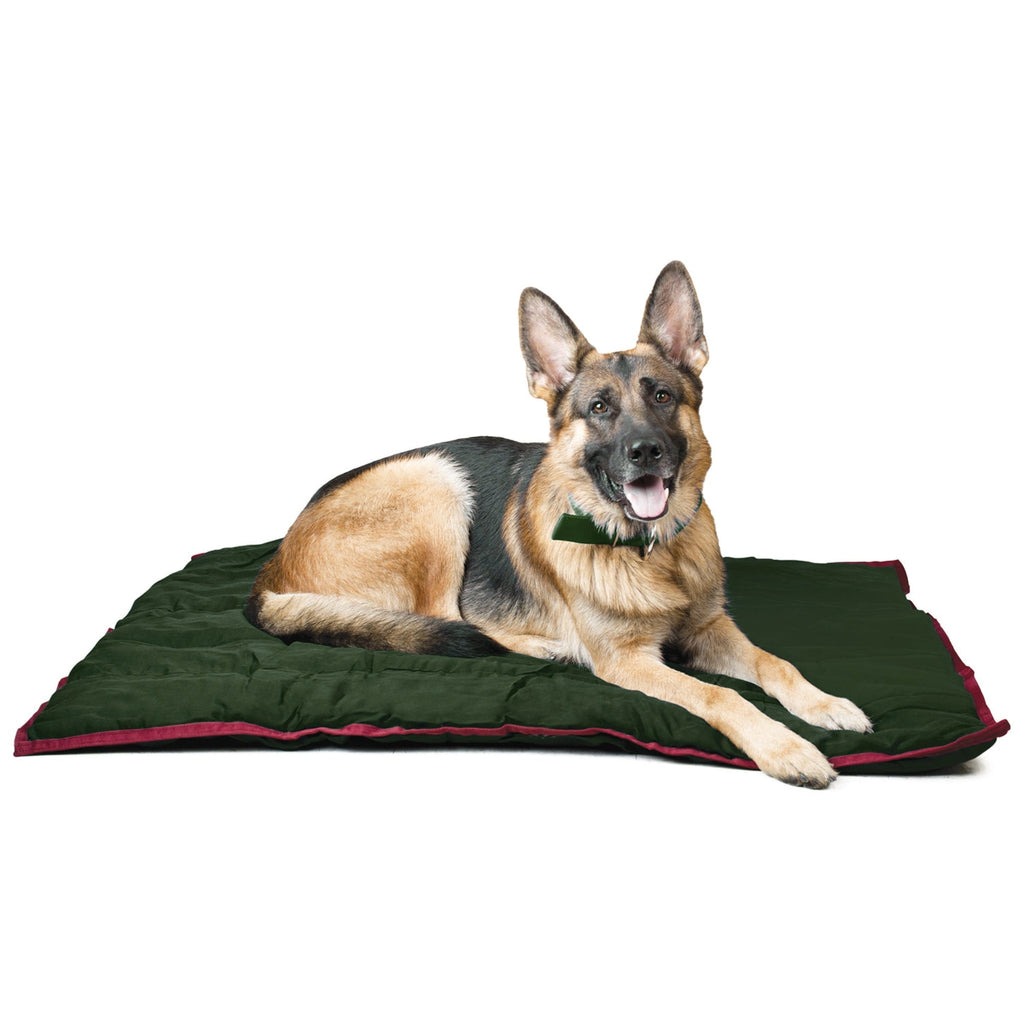 Jeffers Washable Comfort Dog Pillow