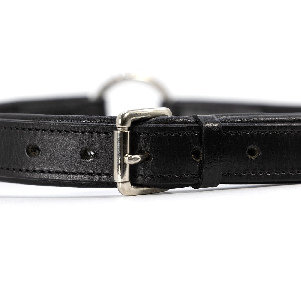 Jeffers Premium Padded Black Leather Dog Collar