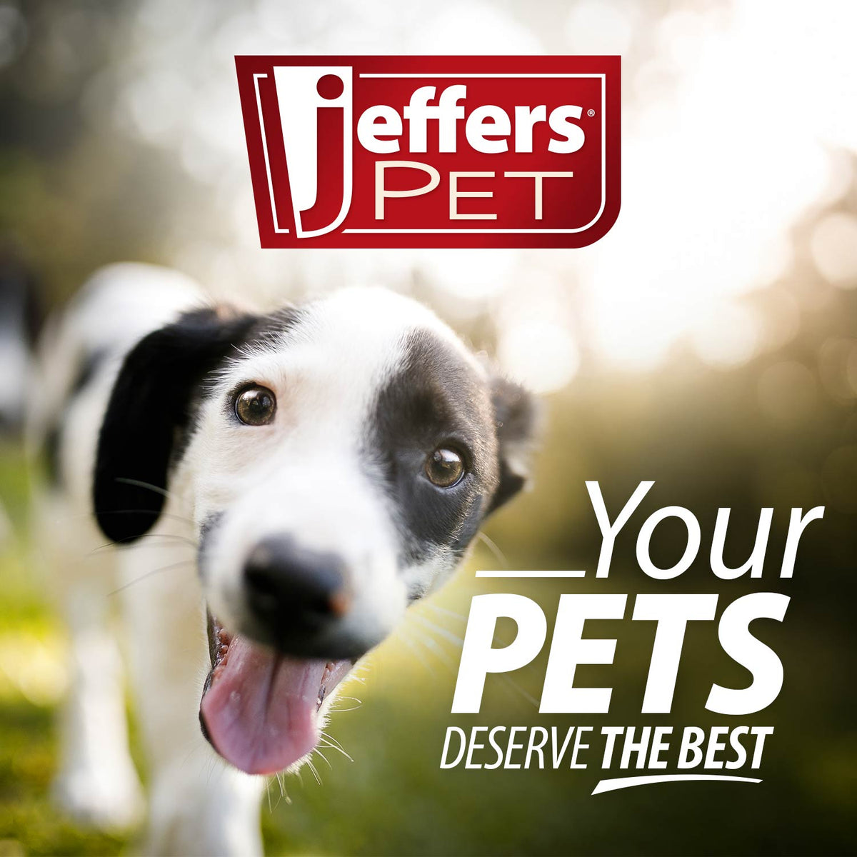 Jeffers Reflective Hound Series Adjustable Dog Collar