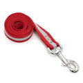 Nylon dog leash with reflective safety stripe
