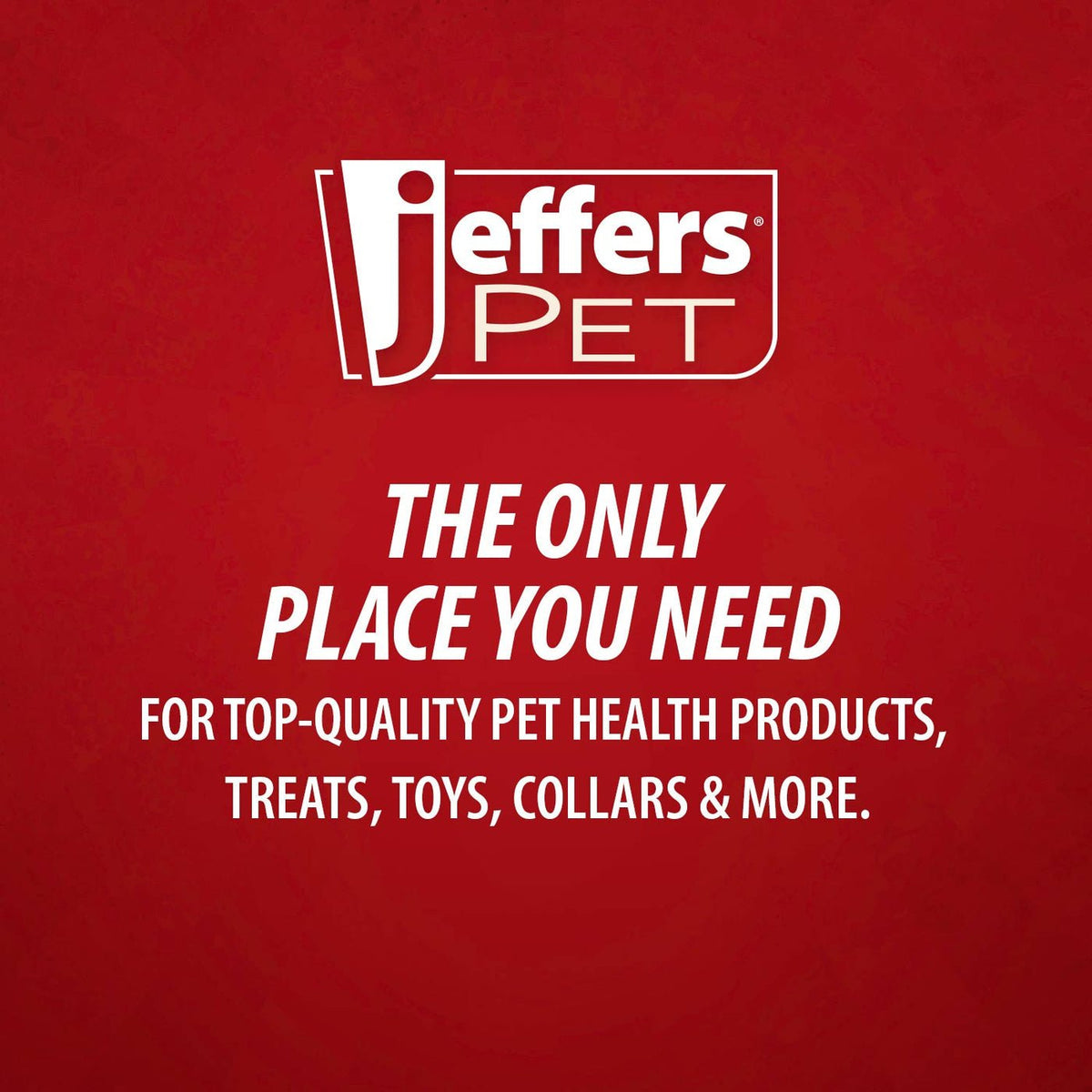 Jeffers Stainless Steel Flying Saucer Puppy Bowl - FurrowpetstoreBowls, Feeding & EnrichmentJeffers