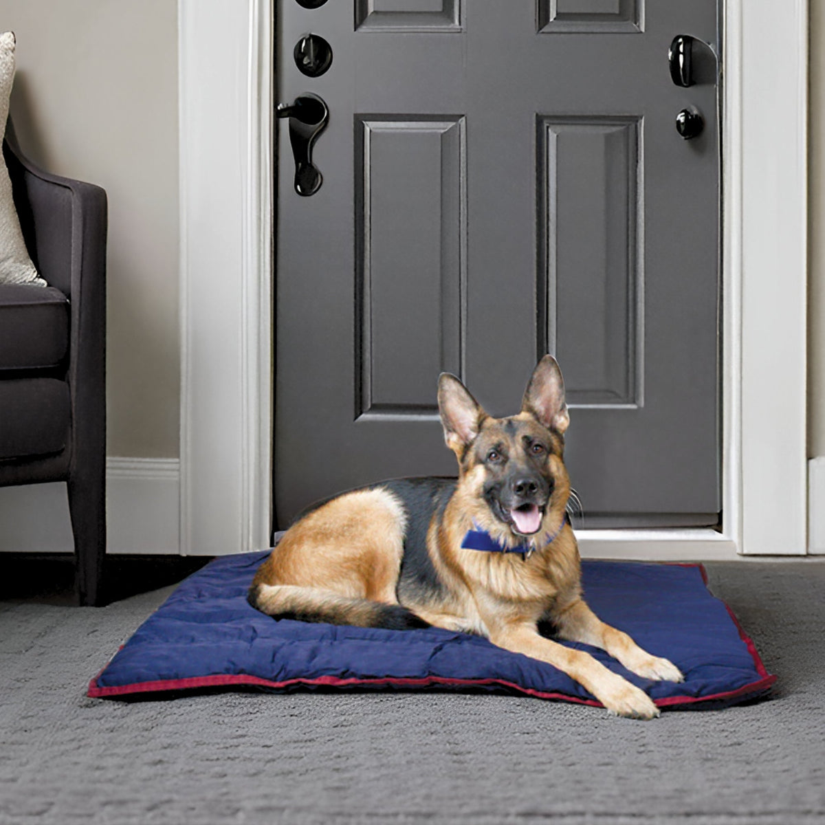 Jeffers Washable Comfort Dog Pillow - FurrowpetstoreBeds & FurnitureJeffers