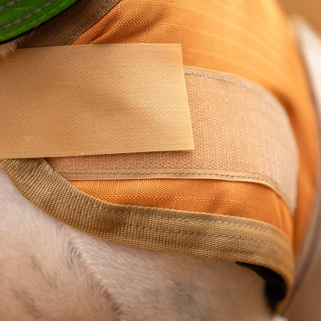 Jeffers Breathe-Comfort 600D Ripstop Dog Blanket