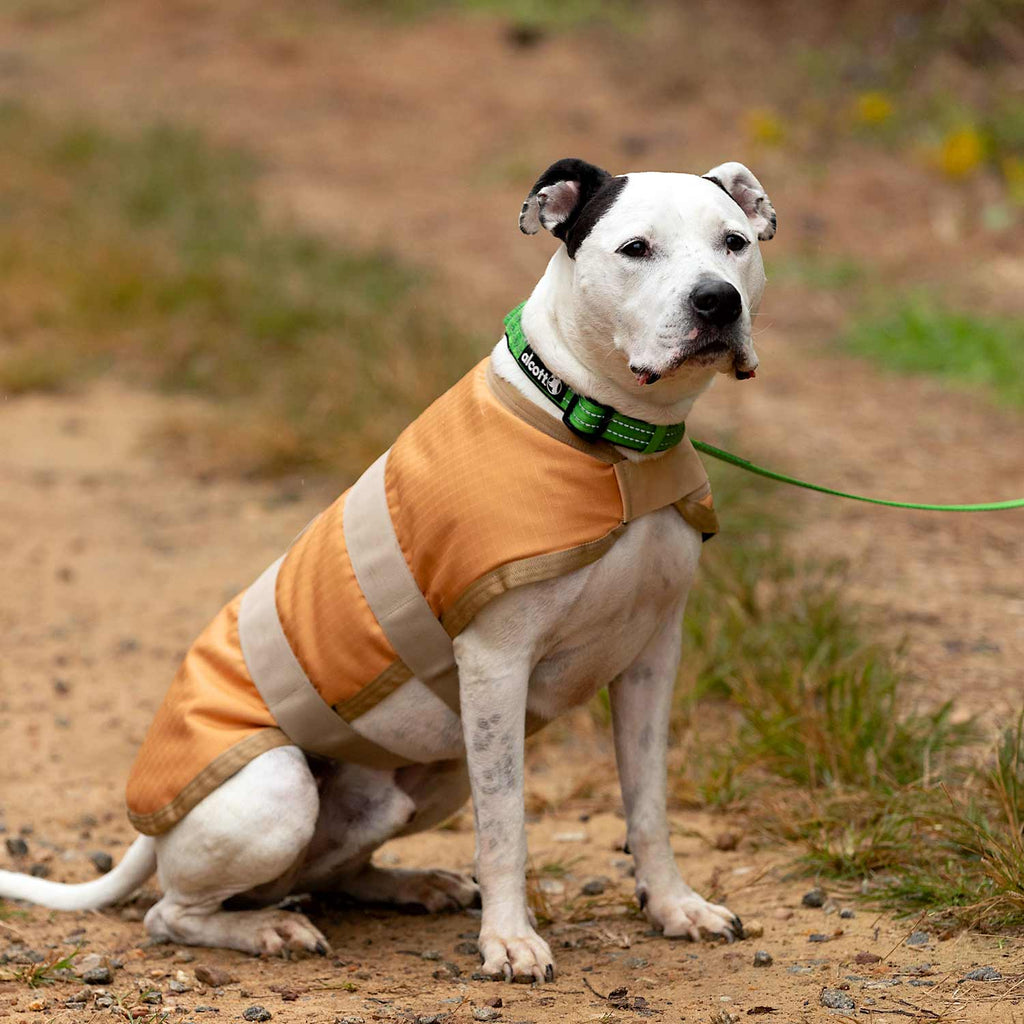 Jeffers Breathe-Comfort 600D Ripstop Dog Blanket
