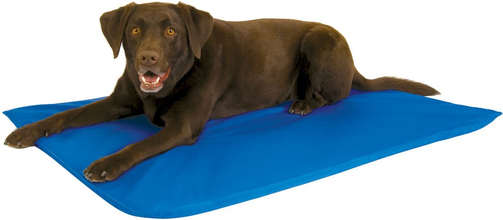 K&H Cool Bed III blue water-filled cooling dog bed