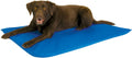 K&H Cool Bed III blue water-filled cooling dog bed