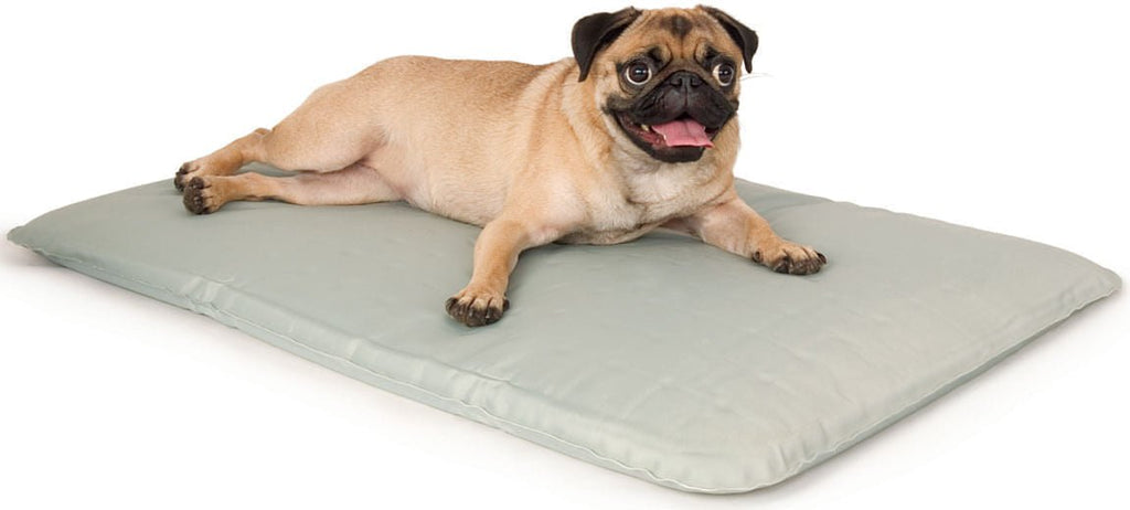 K&H Cool Bed III Water-Filled Cooling Dog Bed - FurrowpetstoreBeds & FurnitureJeffers