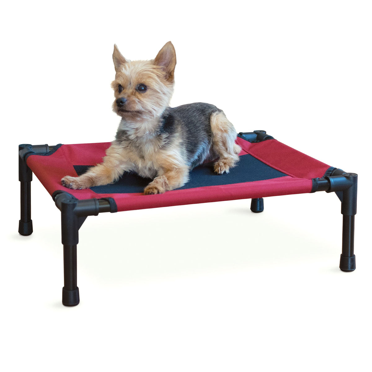 K&H Elevated Dog Bed with Mesh Center - FurrowpetstoreBeds & FurnitureJeffers