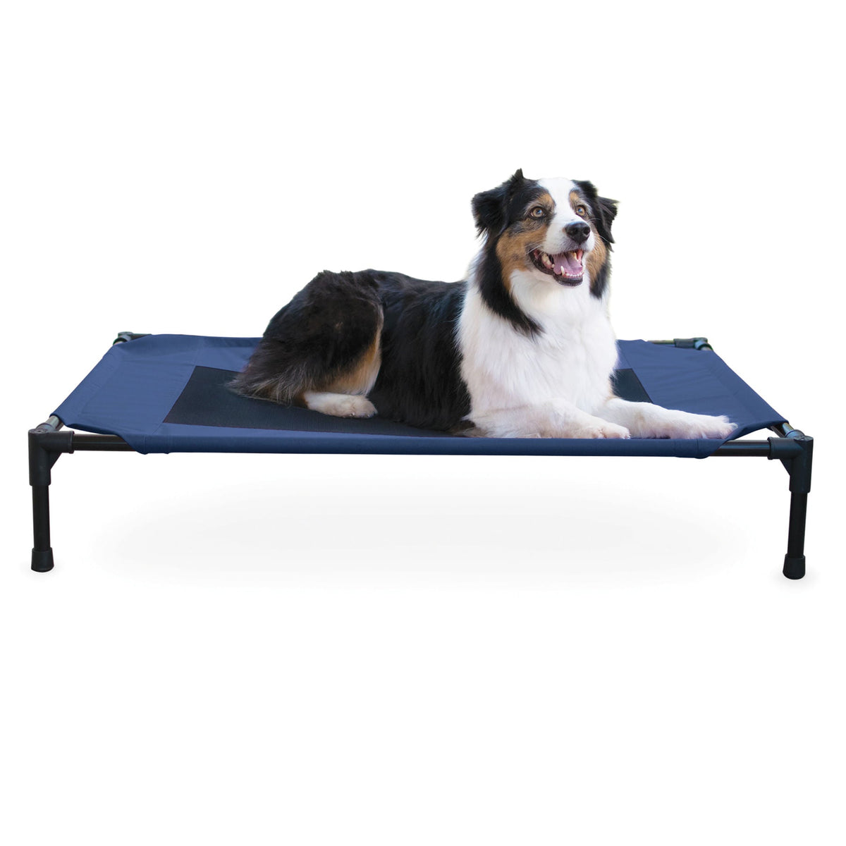 K&H elevated dog bed with mesh center and metal frame