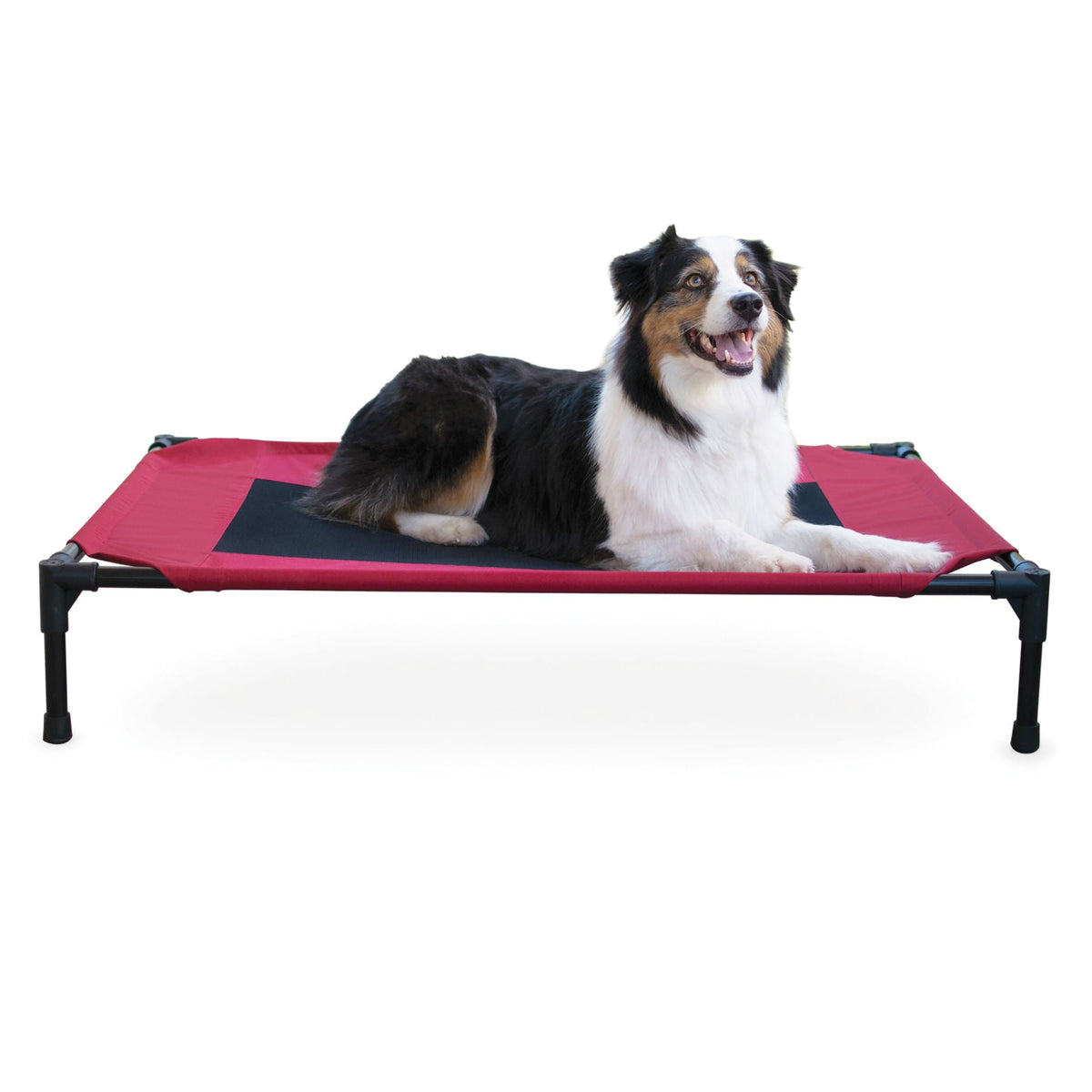 K&H Elevated Dog Bed with Mesh Center - FurrowpetstoreBeds & FurnitureJeffers