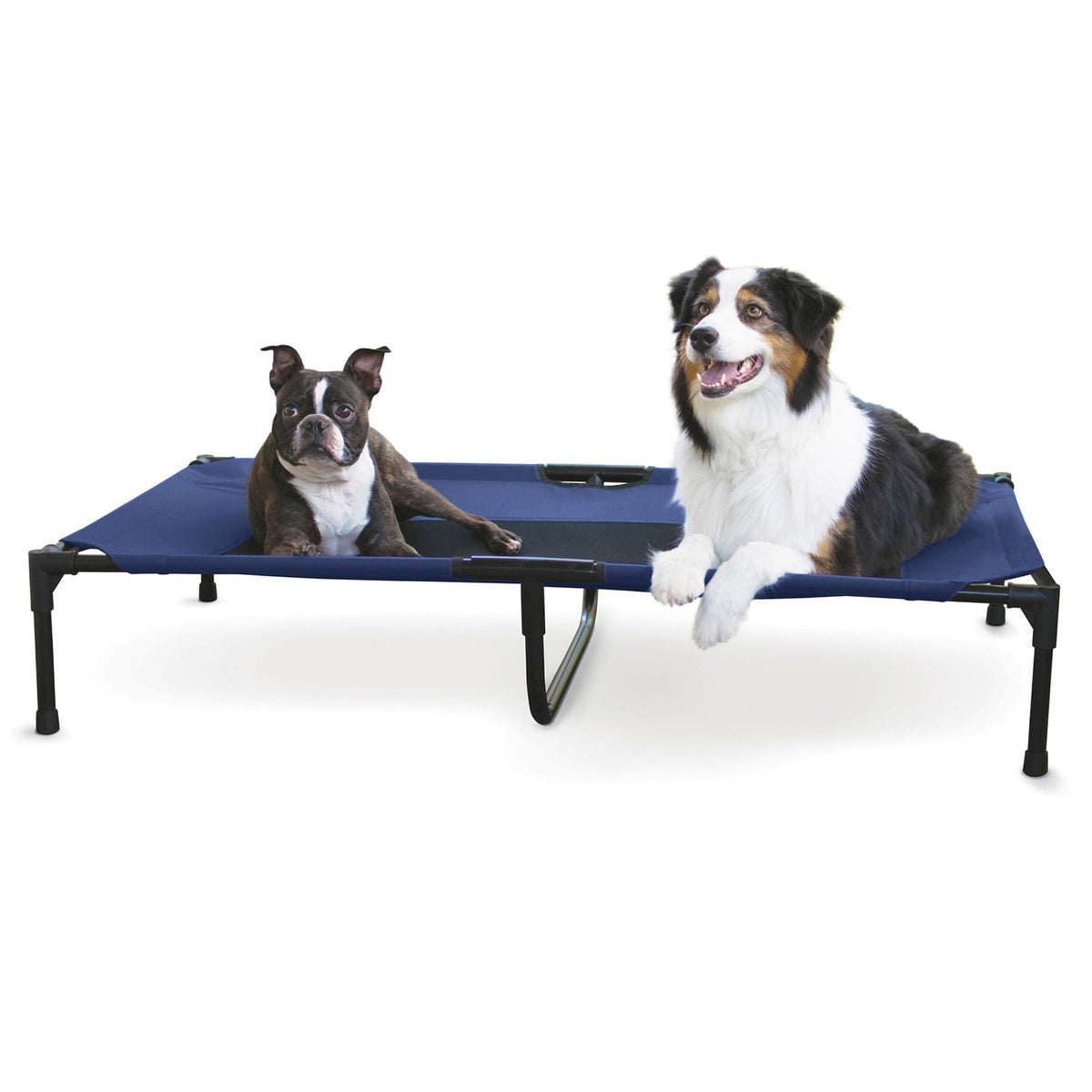 K&H Elevated Dog Bed with Mesh Center - FurrowpetstoreBeds & FurnitureJeffers