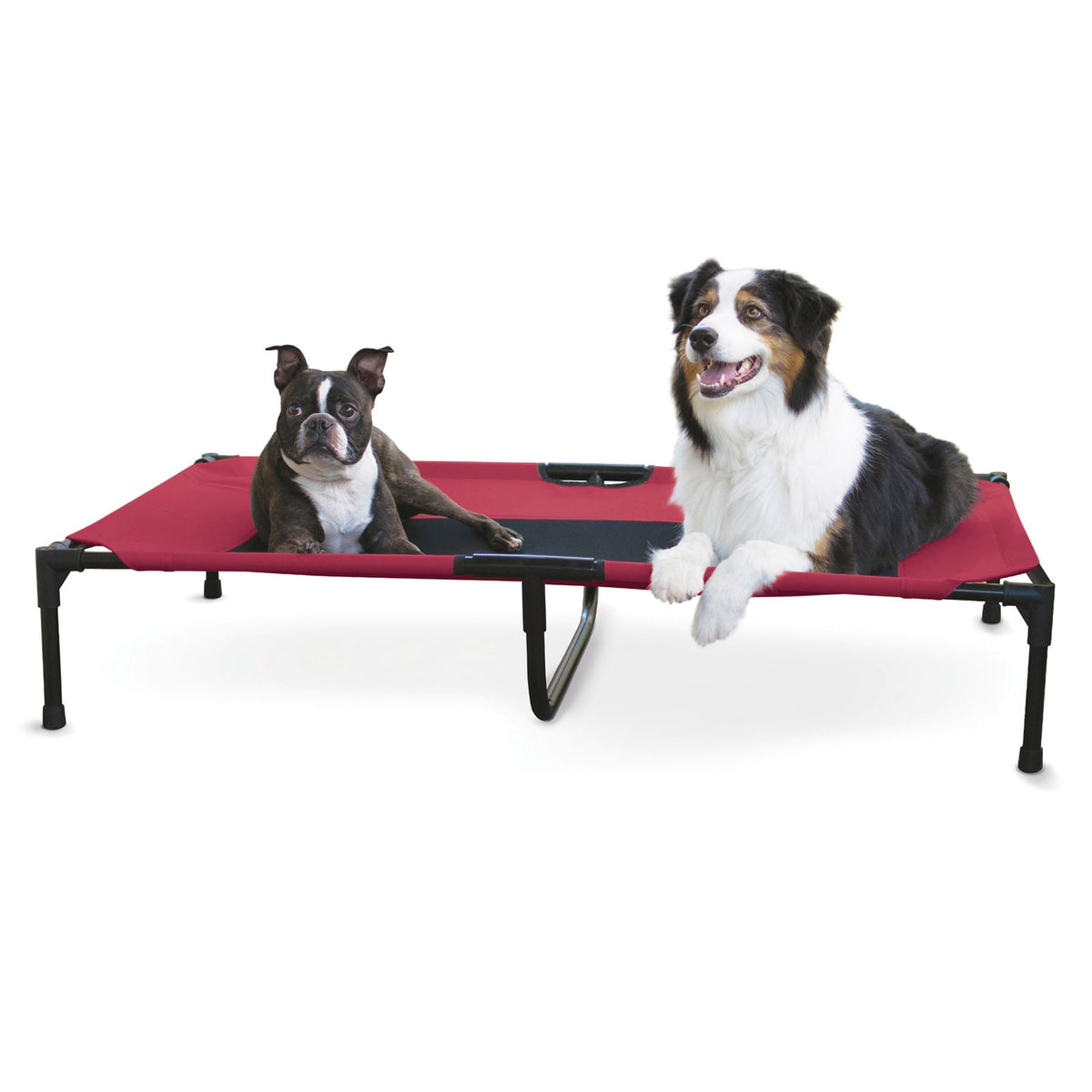 K&H Elevated Dog Bed with Mesh Center - FurrowpetstoreBeds & FurnitureJeffers