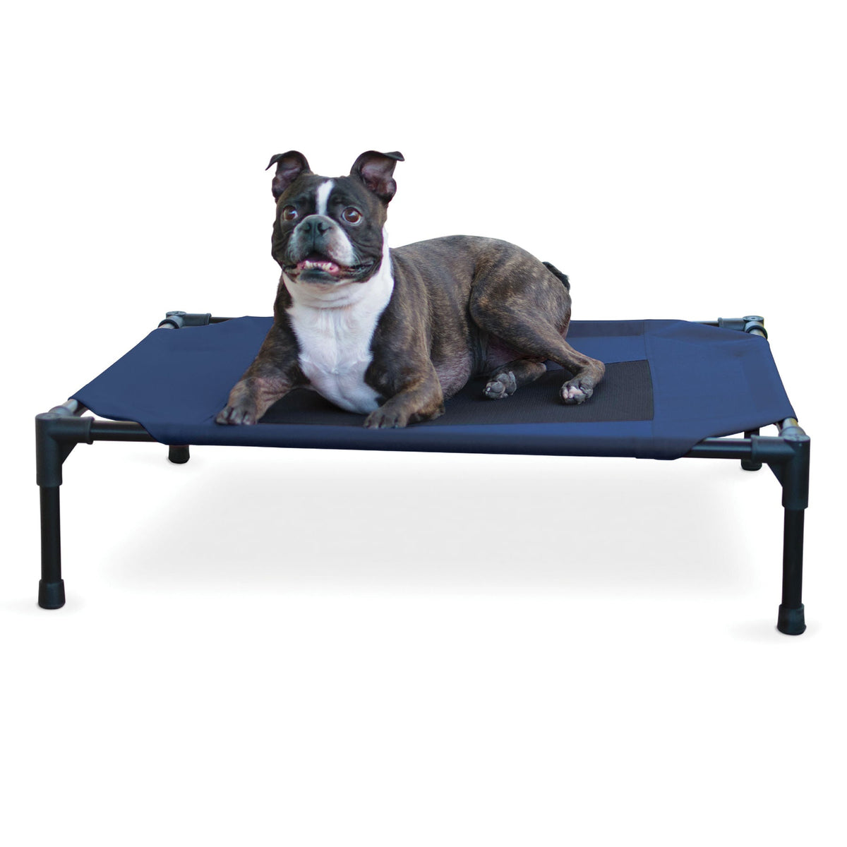 K&H Elevated Dog Bed with Mesh Center - FurrowpetstoreBeds & FurnitureJeffers