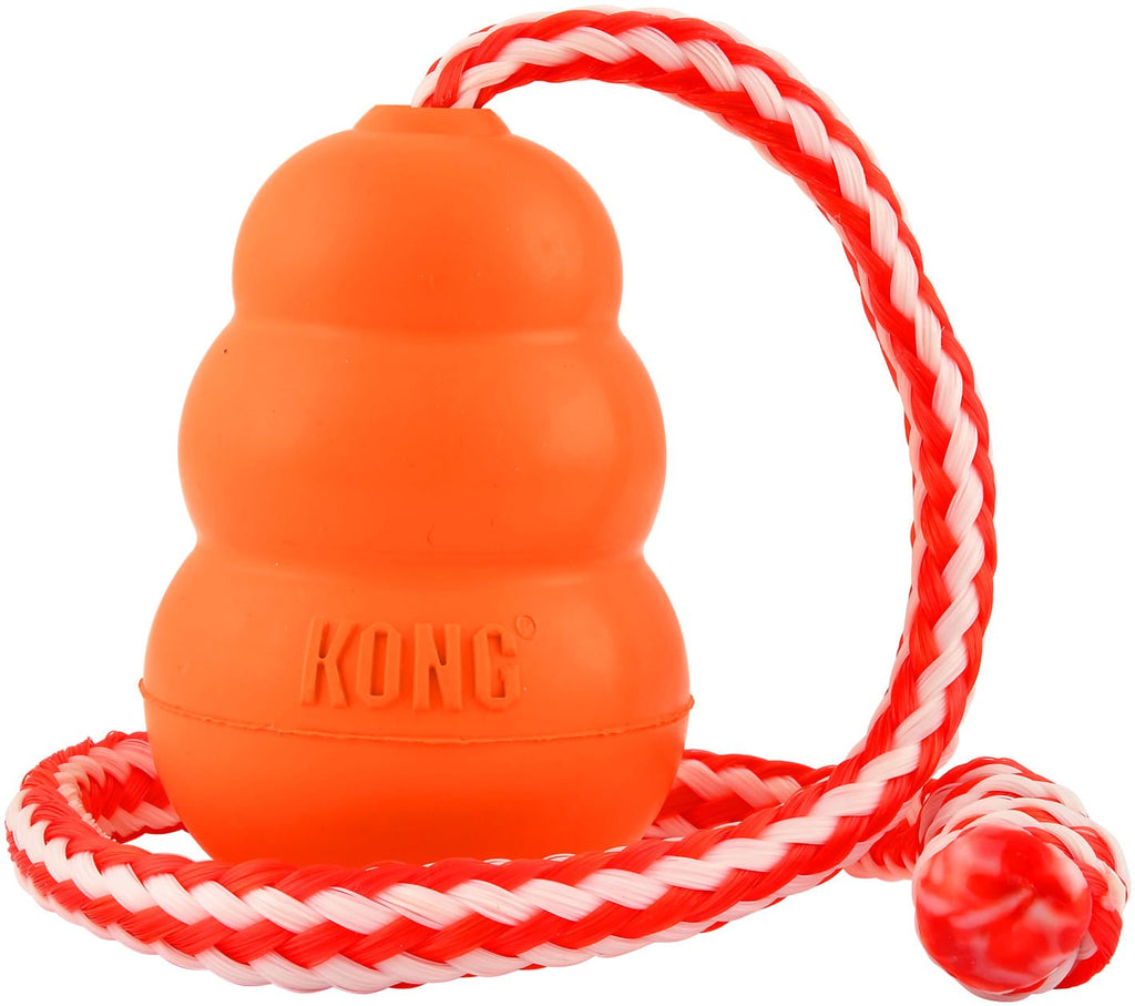 KONG Aqua Floating Water Dog Toy with Rope