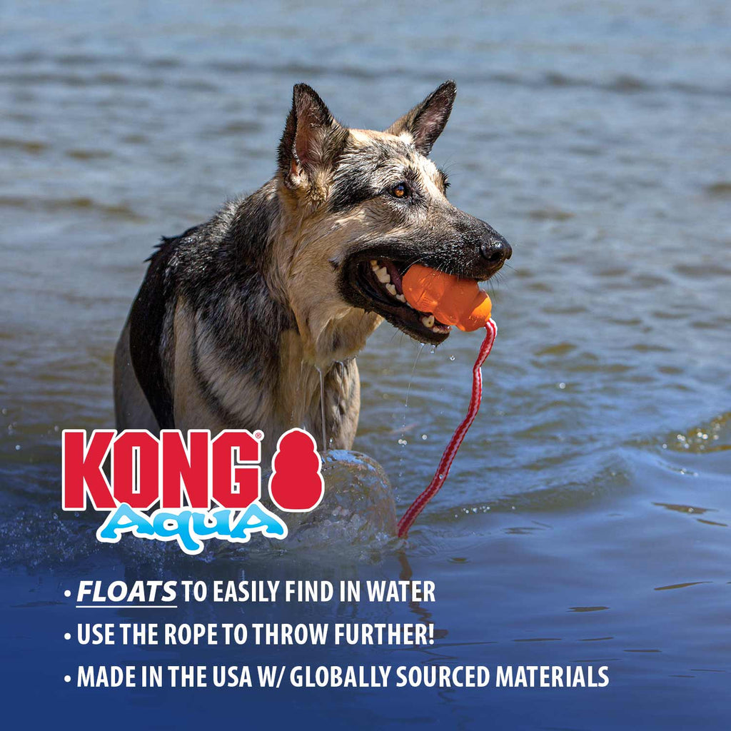 KONG Aqua Floating Water Dog Toy with Rope