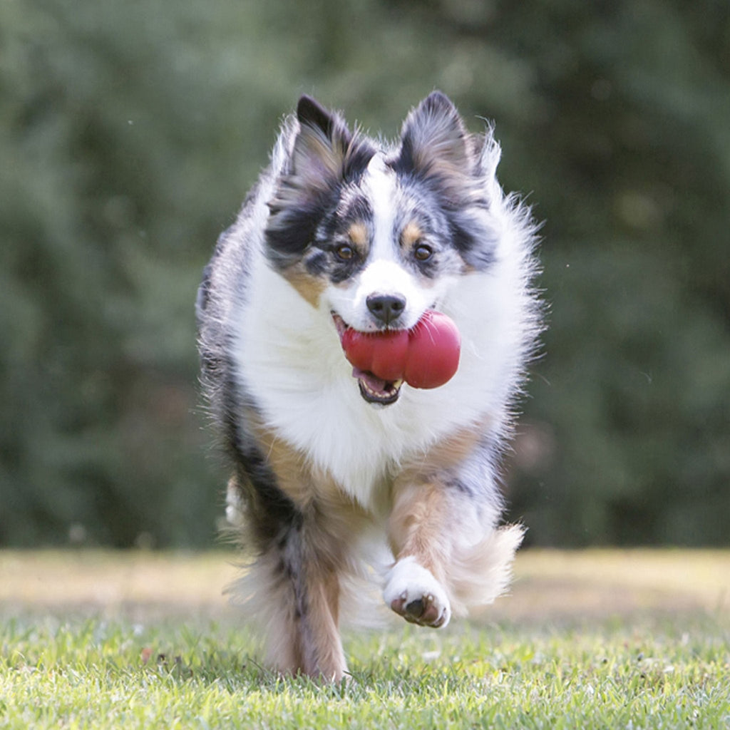 KONG Classic Stuffable Rubber Dog Toy