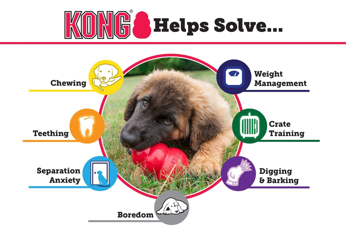 KONG Classic Stuffable Rubber Dog Toy - FurrowpetstoreToysJeffers