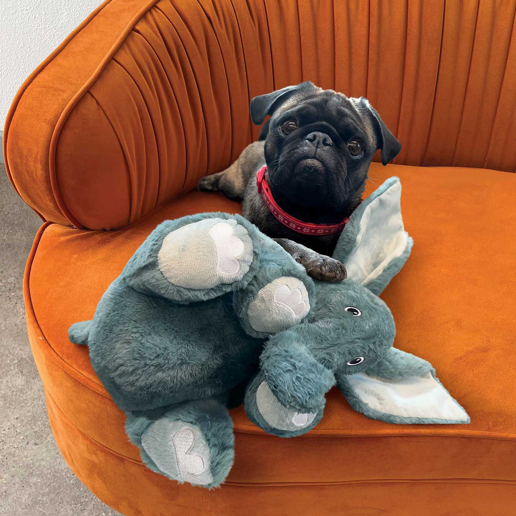 KONG Comfort Kiddos Jumbo Elephant Dog Toy, XL