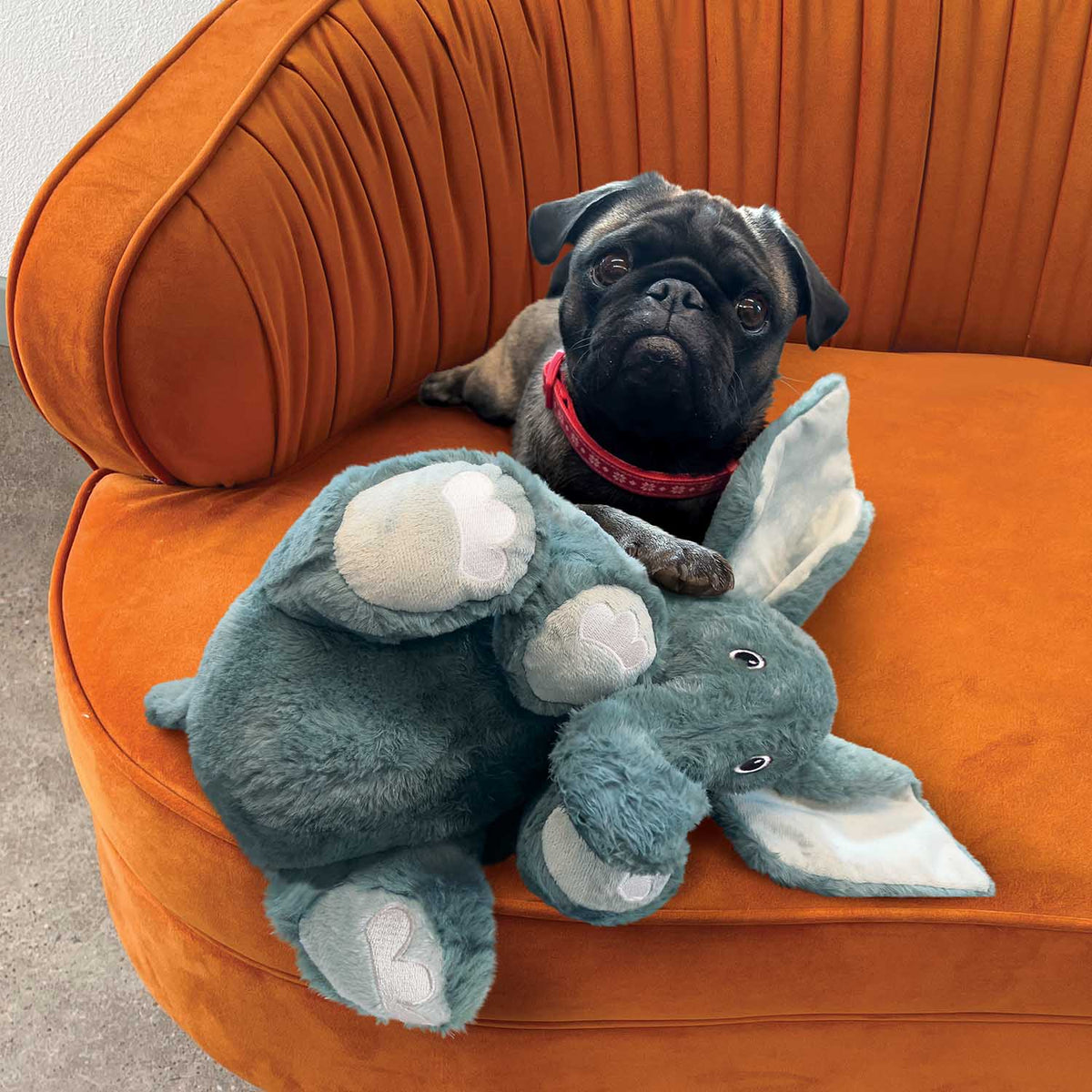 KONG Comfort Kiddos Jumbo Elephant Dog Toy, XL